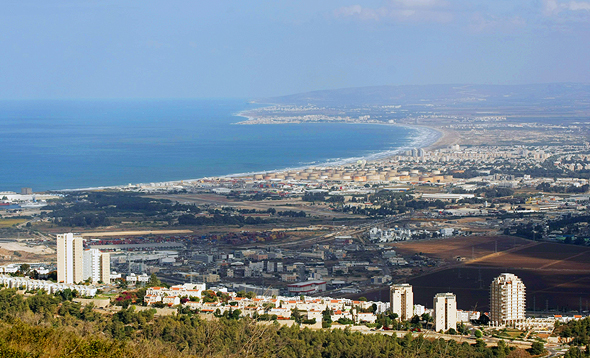 נשר נשר