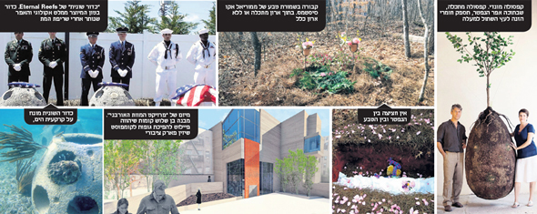 השיטות החדשות לקבורה אקולוגית השיטות החדשות לקבורה אקולוגית