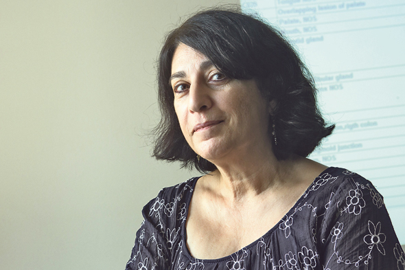 קינן־בוקר. "הציק לי מאוד כשאנשים דיווחו שכולם סביבם חולים בסרטן. זה נכון, מספר החולים גדל. אבל גם האוכלוסייה גדלה, ולכן הסיכון לא גדל" קינן־בוקר. "הציק לי מאוד כשאנשים דיווחו שכולם סביבם חולים בסרטן. זה נכון, מספר החולים גדל. אבל גם האוכלוסייה גדלה, ולכן הסיכון לא גדל"