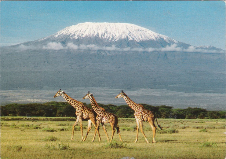 טנזניה, צילום: coverspostcards 