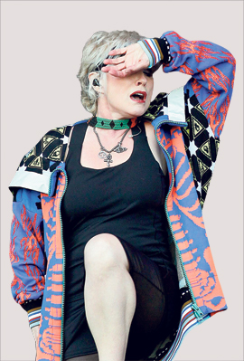 דבי הארי, צילום: איי פי