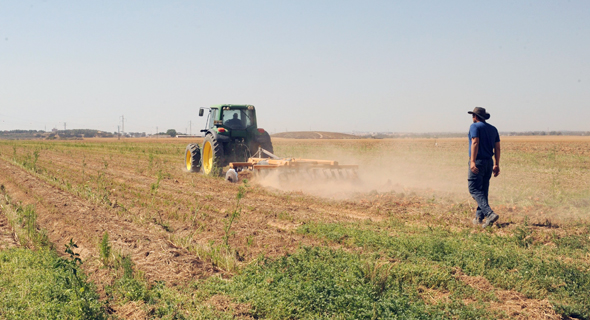 Israeli farmland (illustration). Photo: Israel Yosef Israeli farmland (illustration). Photo: Israel Yosef
