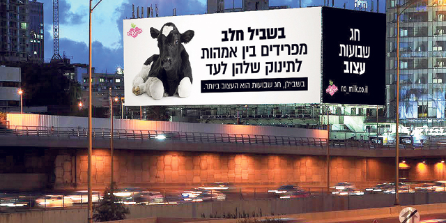 לראשונה: קמפיין טבעוני נגד שבועות