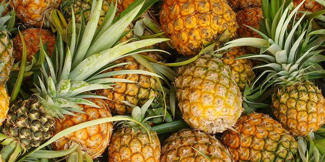 Pineapple illustration). Photo: Shutterstock