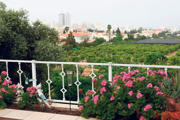 נוף ממרפסת באביחיל, כשברקע נתניה. בתוך עשור 100 יישובים כפריים יהיו בסכנת היעלמות נוף ממרפסת באביחיל, כשברקע נתניה. בתוך עשור 100 יישובים כפריים יהיו בסכנת היעלמות