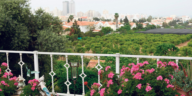 פסטורלי, עם נוף לבניינים