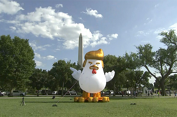 בלון תרנגול דונלד טראמפ הבית הלבן וושינגטון, צילום: איי פי