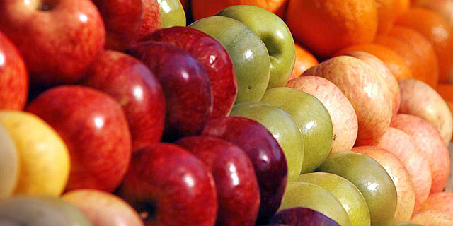 Clarifruit’s App Can Pick Out the Bad Apples