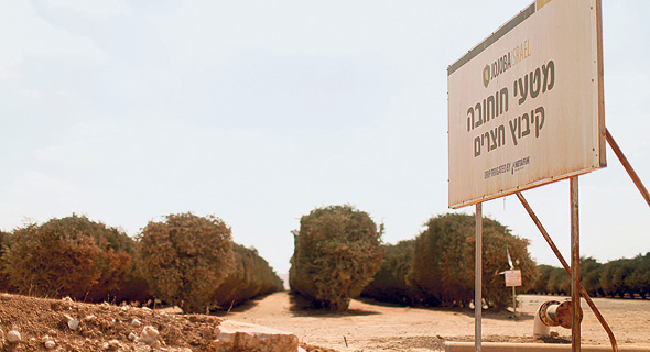 חוחובה ישראל. "לא הפסדנו בפעילות הזאת יום אחד" חוחובה ישראל. "לא הפסדנו בפעילות הזאת יום אחד"