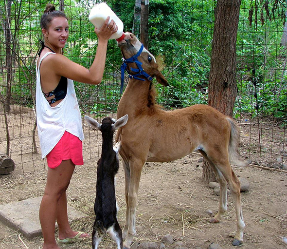 קוסטה ריקה. The Monkey Farm שימור סביבתי ותמיכה בקהילות מקומיות קוסטה ריקה. The Monkey Farm שימור סביבתי ותמיכה בקהילות מקומיות