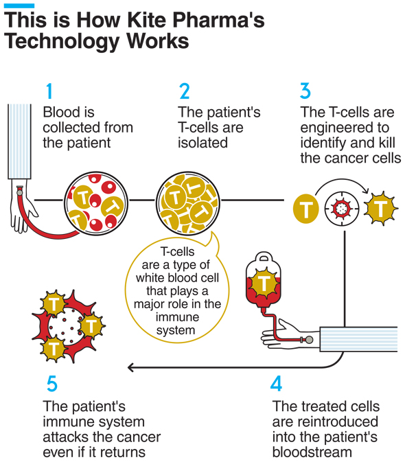 Car t cell therapy kite