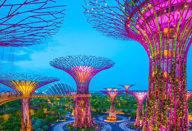 Gardens by the Bay בסינגפור. העיר דורגה רביעית Gardens by the Bay בסינגפור. העיר דורגה רביעית