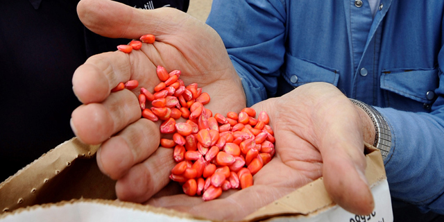 זרעים של מיזוג ענק: באייר בוחנת אפשרות לרכוש את מונסנטו