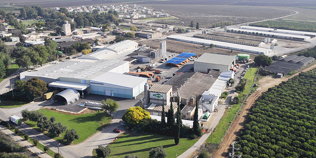 עסקת רכישה בתעשייה הקיבוצית: קבוצת חוליות קונה את חופית ב-35 מיליון שקל