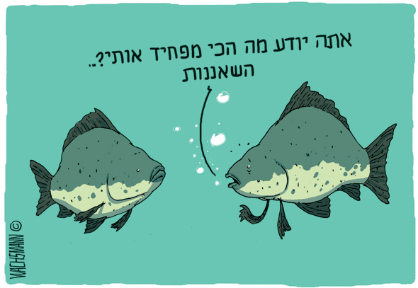 קריקטוריסט, המיטב קריקטוריסט, המיטב