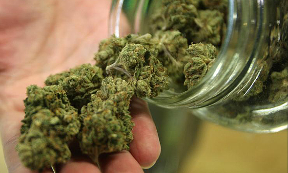 Medical cannabis. Photo: Getty Images