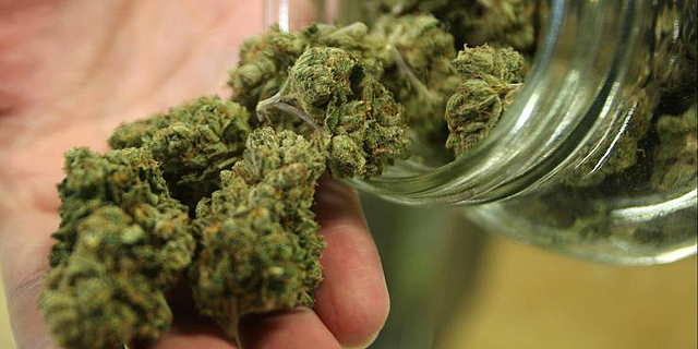 Report Downplays Potential Impact of Cannabis Exports on Israel’s Economy