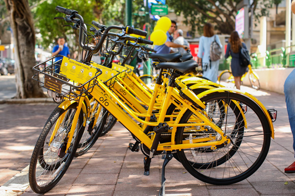 ofo bike sharing