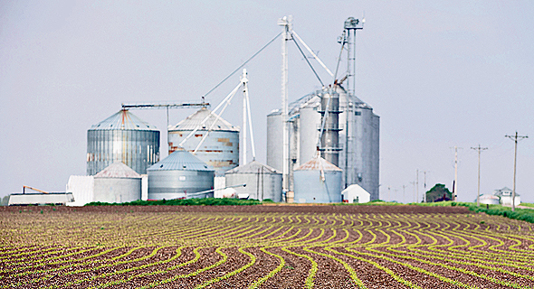 Field (illustration). Photo: Bloomberg Field (illustration). Photo: Bloomberg