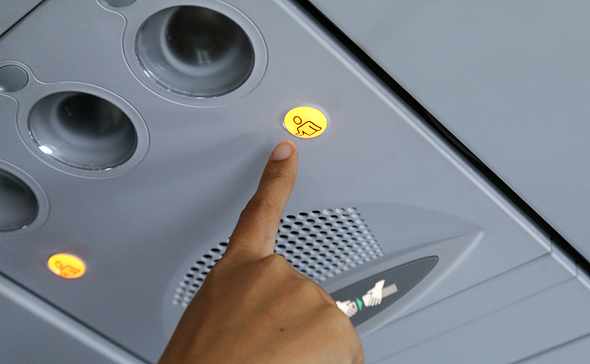 הקברניט דיילת דיילות תעופה, צילום: שאטרסטוק