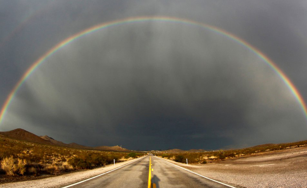 צילום: Gene Blevins/Reuters צילום: Gene Blevins/Reuters