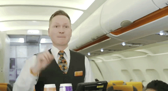 טיסה דייל דיילים תעופה שפה סודית 1, צילום: יוטיוב