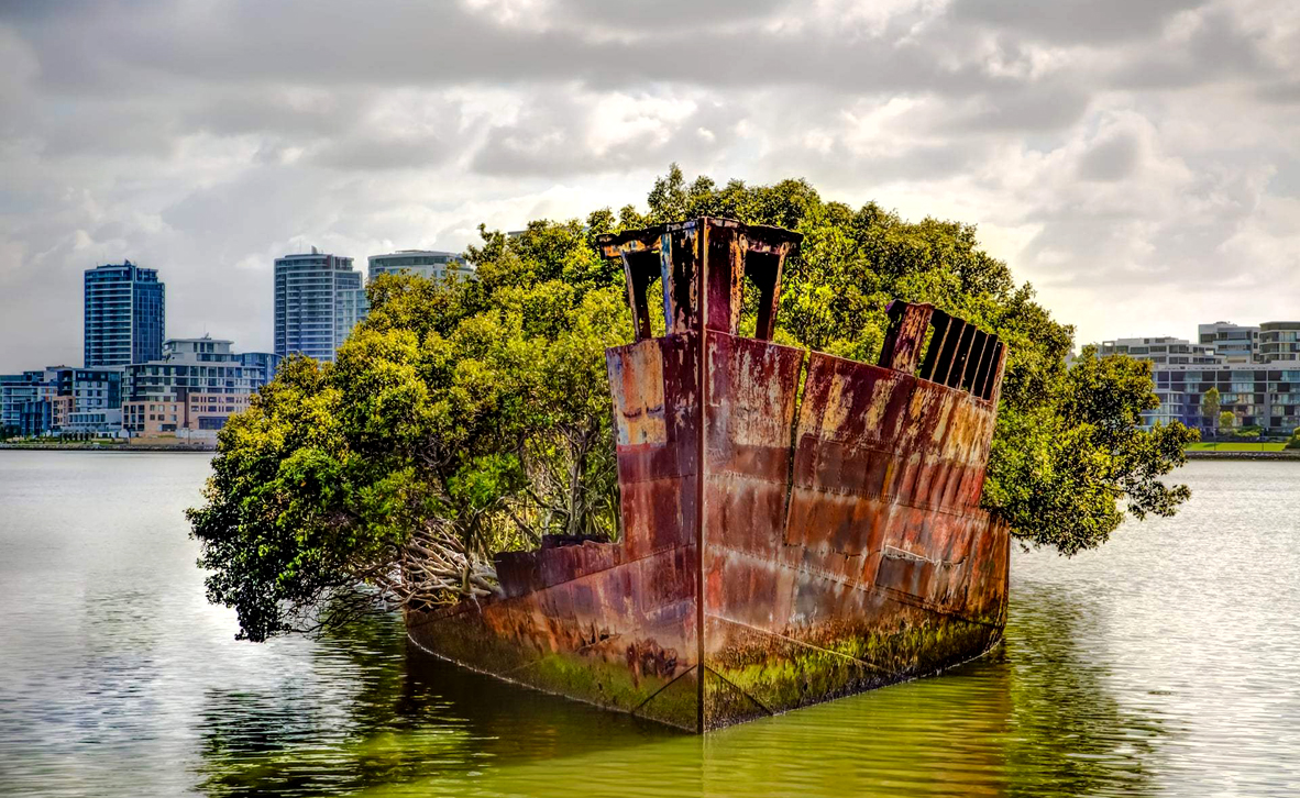 צילום: Abandoned Wrecks/Chris McNab צילום: Abandoned Wrecks/Chris McNab