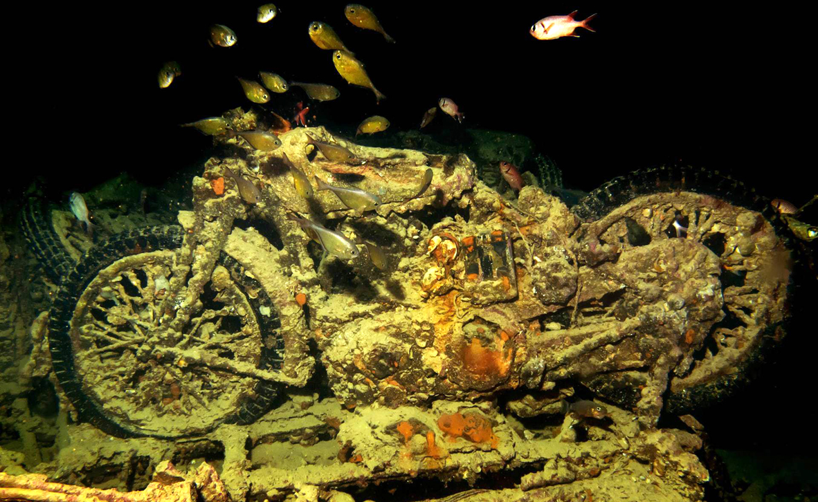 צילום: Abandoned Wrecks/Chris McNab צילום: Abandoned Wrecks/Chris McNab