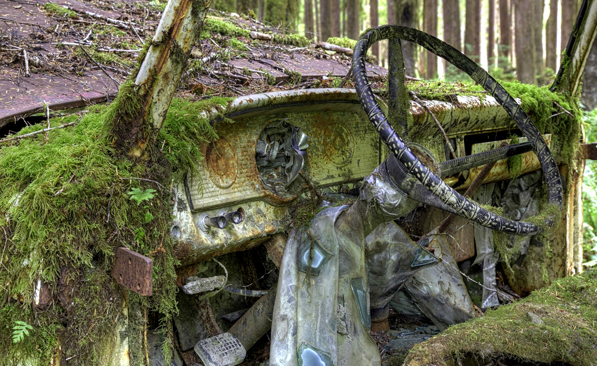 צילום: Abandoned Wrecks/Chris McNab צילום: Abandoned Wrecks/Chris McNab