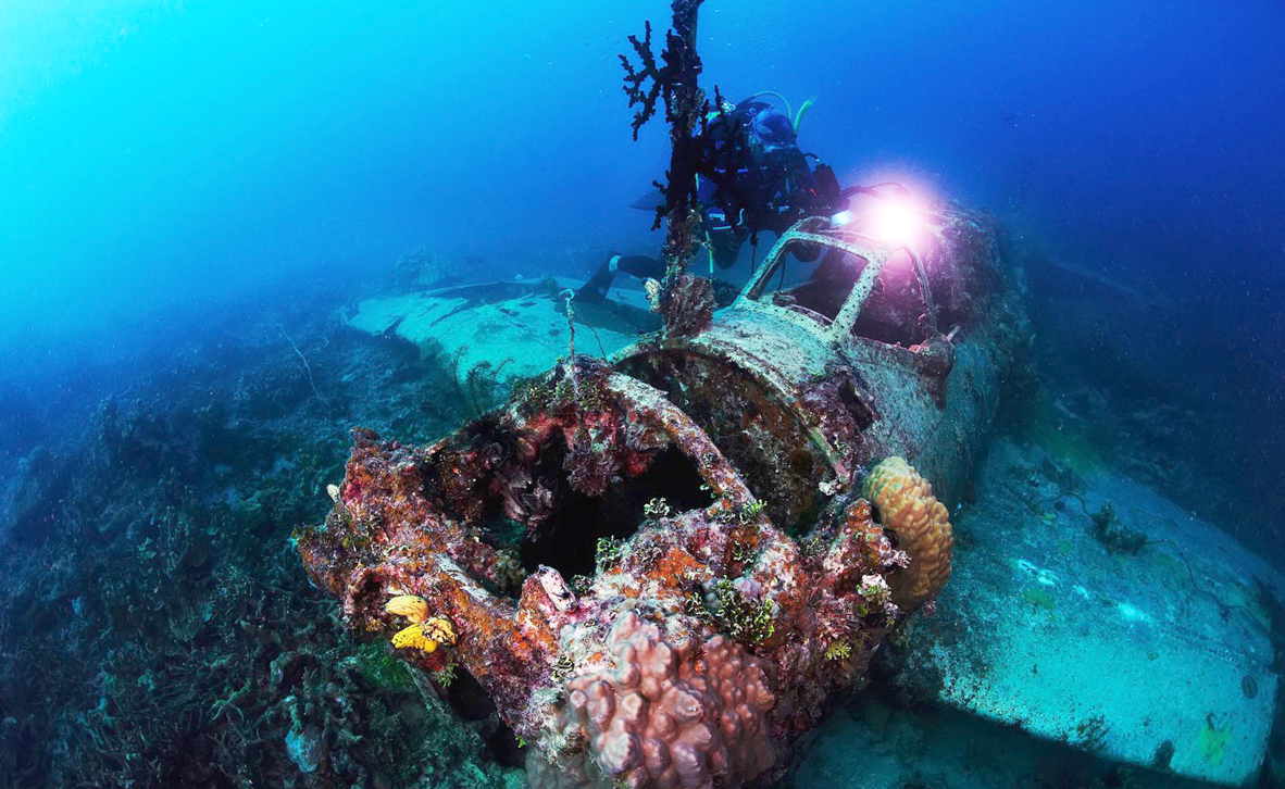צילום: Abandoned Wrecks/Chris McNab צילום: Abandoned Wrecks/Chris McNab