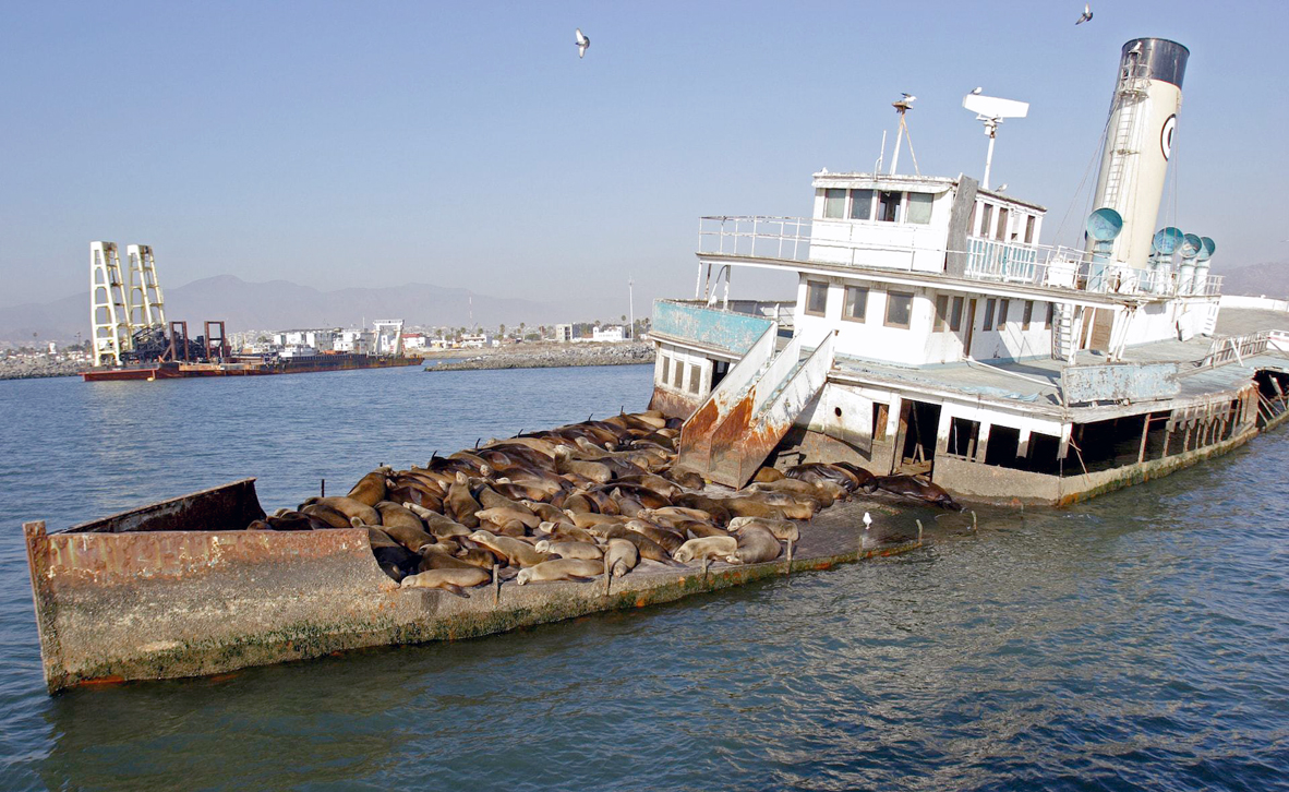 צילום: Abandoned Wrecks/Chris McNab צילום: Abandoned Wrecks/Chris McNab