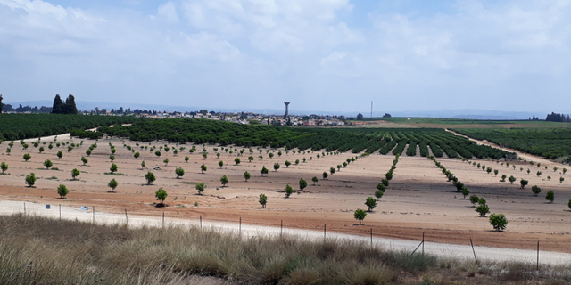 מצאו ייעוד: הקרקעות שביום אחד שילשו את ערכן