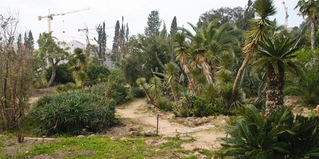 אחרי 50 שנה: "הגן הנעול" של כפר סבא ייפתח לציבור