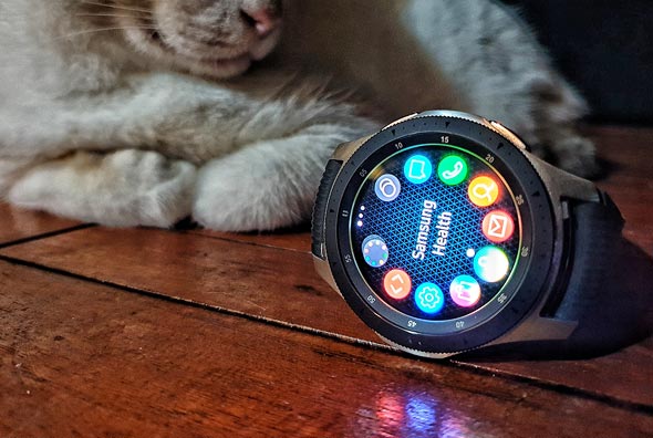 נעים להכיר: גלקסי Watch נעים להכיר: גלקסי Watch