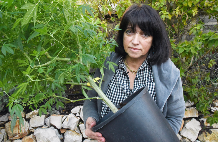 האם דורית, בתחילת השנה. "היתה לי מנטליות שהצמח הזה הוא הדבר הכי רע שיכול להיות, אבל צחי כל כך שכנע אותי, שאמרתי שאני אלך איתו עד הסוף" האם דורית, בתחילת השנה. "היתה לי מנטליות שהצמח הזה הוא הדבר הכי רע שיכול להיות, אבל צחי כל כך שכנע אותי, שאמרתי שאני אלך איתו עד הסוף"
