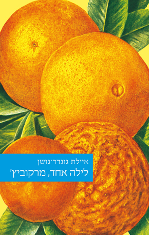 עטיפת הספר עטיפת הספר