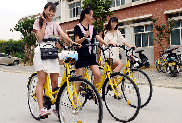 אופני ofo. ניהול צפוני שנכשל אופני ofo. ניהול צפוני שנכשל