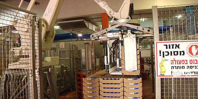 רובוט במפעל שטראוס, צילום: טל אזולאי