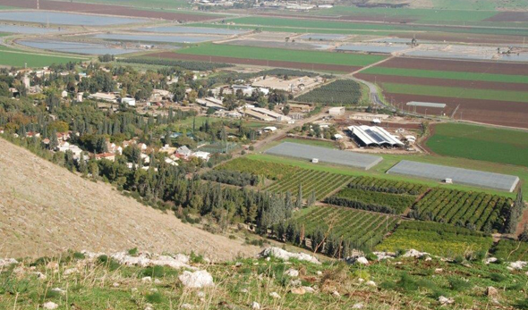 קיבוץ בית אלפא בעמק יזרעאל. עתירתו נדחתה קיבוץ בית אלפא בעמק יזרעאל. עתירתו נדחתה