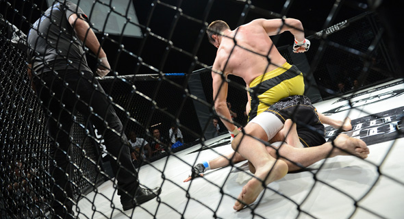 A UFC match. Photo: Shutterstock A UFC match. Photo: Shutterstock