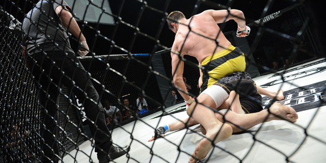 UFC to Offer Viewers Real-Time Match Analytics