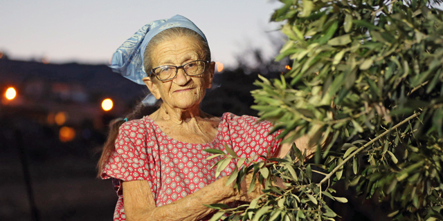 אם הלהקות הצבאיות: נעמי פולני תהיה כלת פרס ישראל בתיאטרון ומחול השנה