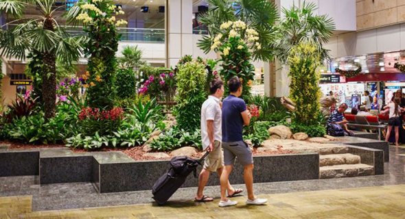 נמל תעופה שדה תעופה צ'אנגי סינגפור , צילום: גטי