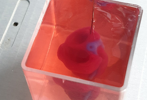 A 3D printed heart. Photo Tel Aviv University