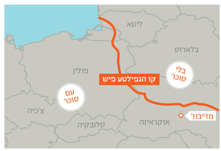 שני השבטים, חסידים ומתנגדים, נבדלו גם בטעם הגפילטע פיש. הליטאים מצפון תיבלו בסגפנות: מלח ופלפל. החסידים בדרום פוצצו בסוכר: 2 כפות לק"ג עיסת דג, ועוד שתיים לציר שני השבטים, חסידים ומתנגדים, נבדלו גם בטעם הגפילטע פיש. הליטאים מצפון תיבלו בסגפנות: מלח ופלפל. החסידים בדרום פוצצו בסוכר: 2 כפות לק"ג עיסת דג, ועוד שתיים לציר