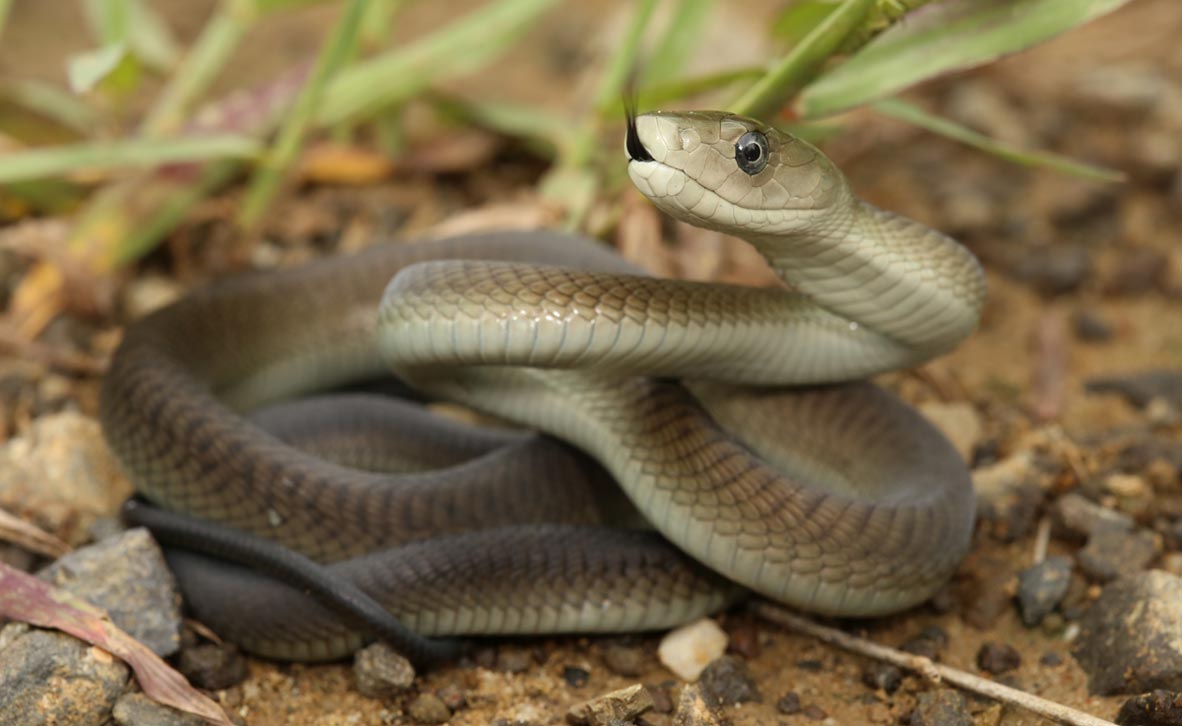 צילום: שאטרסטוק צילום: שאטרסטוק