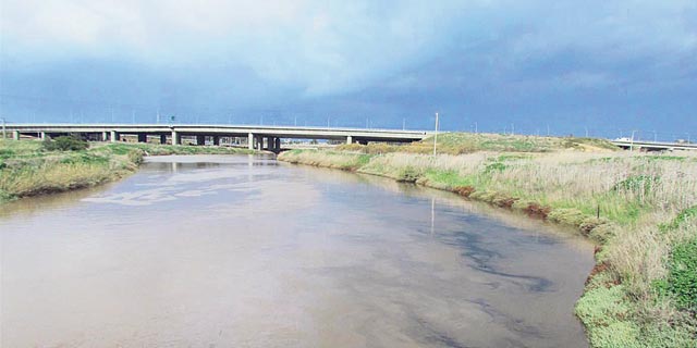 גם בארגוני הטבע מודאגים מהחלשת בית המשפט העליון
