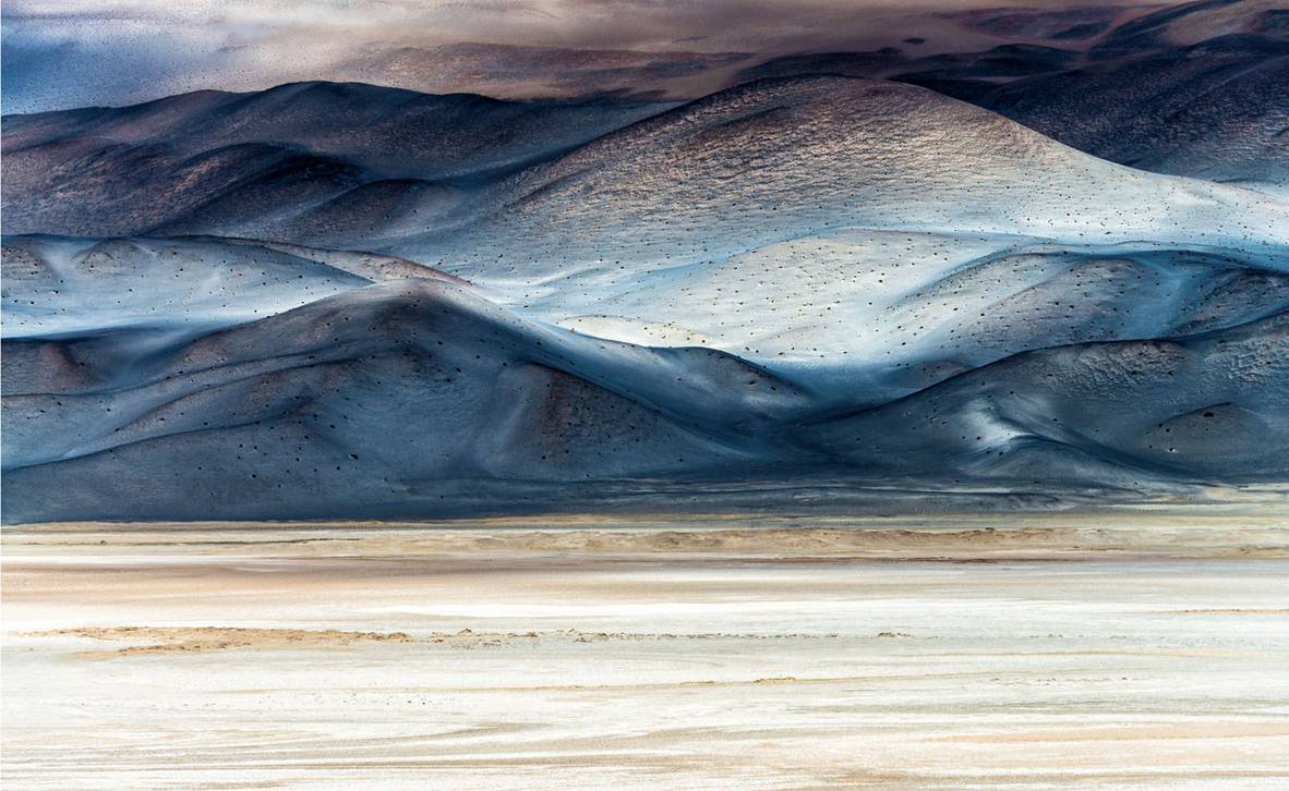 צילום: Chiara Salvadori / BigPicture Photography Competition צילום: Chiara Salvadori / BigPicture Photography Competition