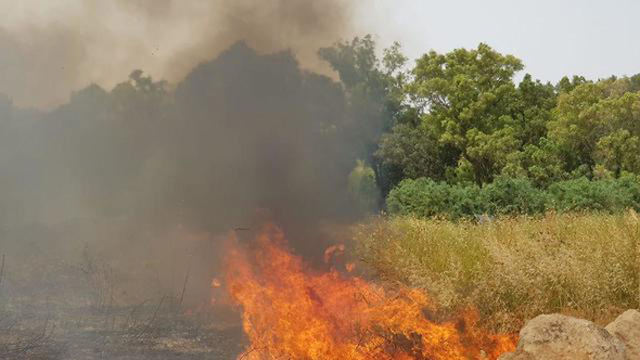 שריפה ליד כפר אוריה שריפה ליד כפר אוריה