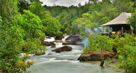 פוטו בתי מלון מדהימים Shinta Mani Wild קמבודיה , צילום: Shinta Mani Wild